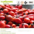 Free Samples Good Water Soluble Rose hip Extract Vitamin C